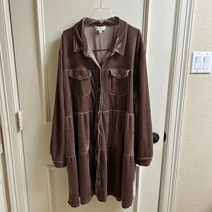 Velvet fall dress